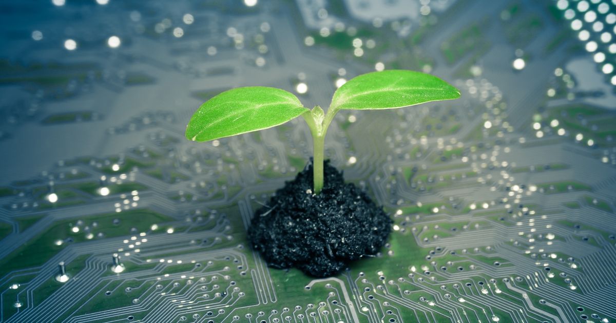 The Green Tech Revolution: Sustainable Solutions for a Digital Tomorrow