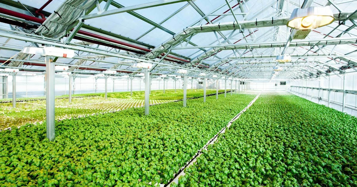 Revolutionizing Agriculture: Green Technology's Impact on Sustainable Farming Practices